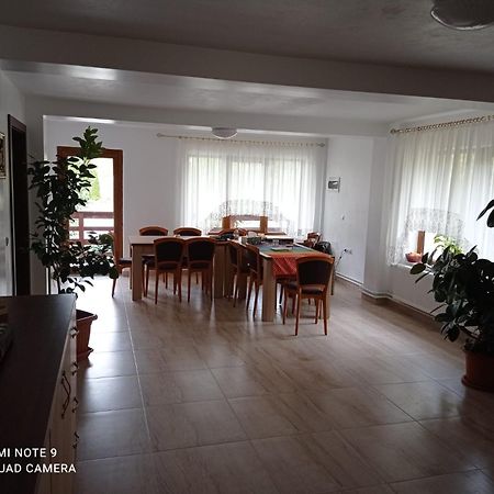 Pensiunea Valea Toplitei Rosia Exterior photo