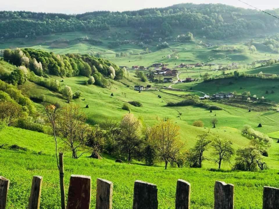Pensiunea Valea Toplitei Rosia Exterior photo