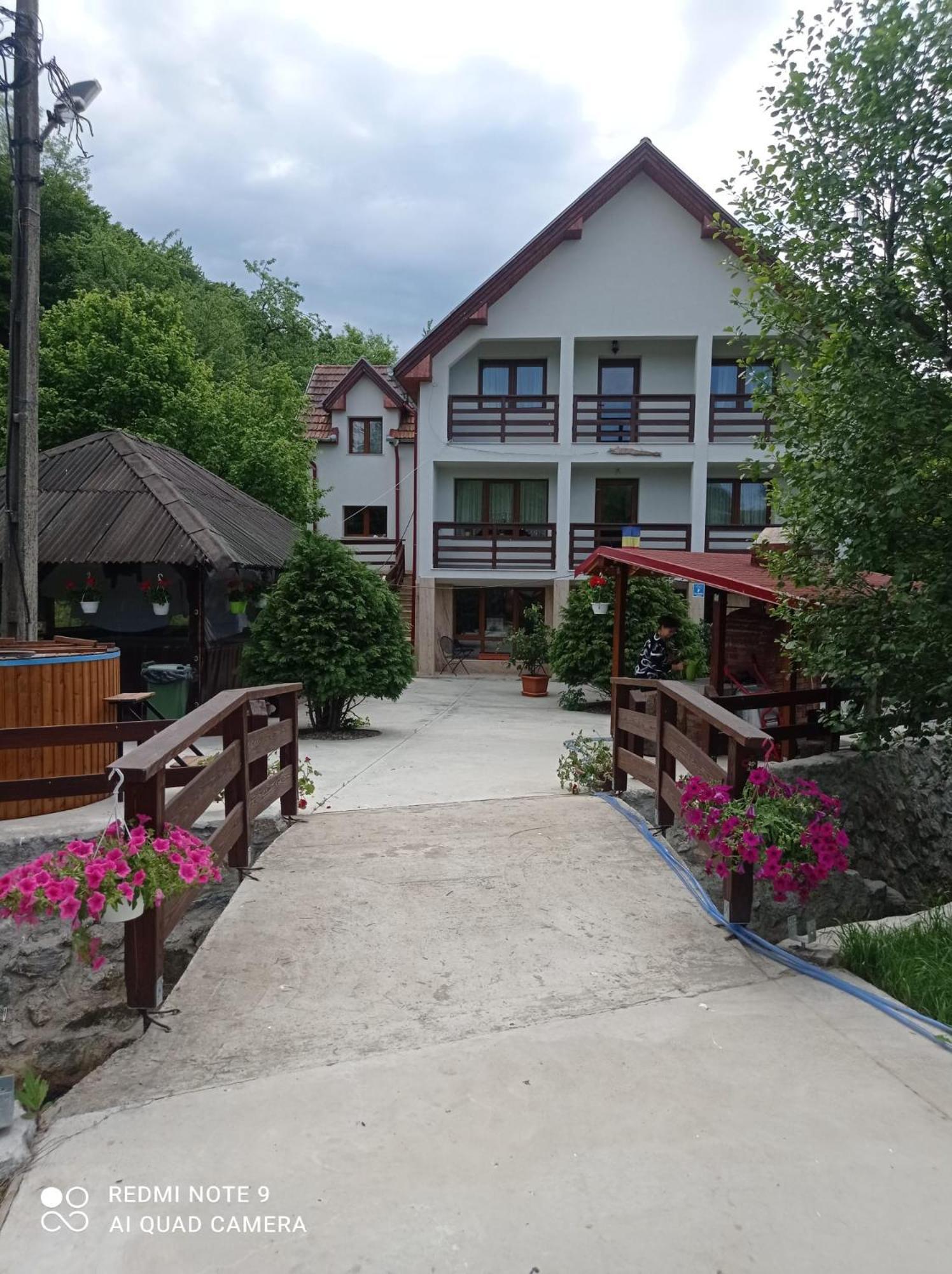 Pensiunea Valea Toplitei Rosia Exterior photo
